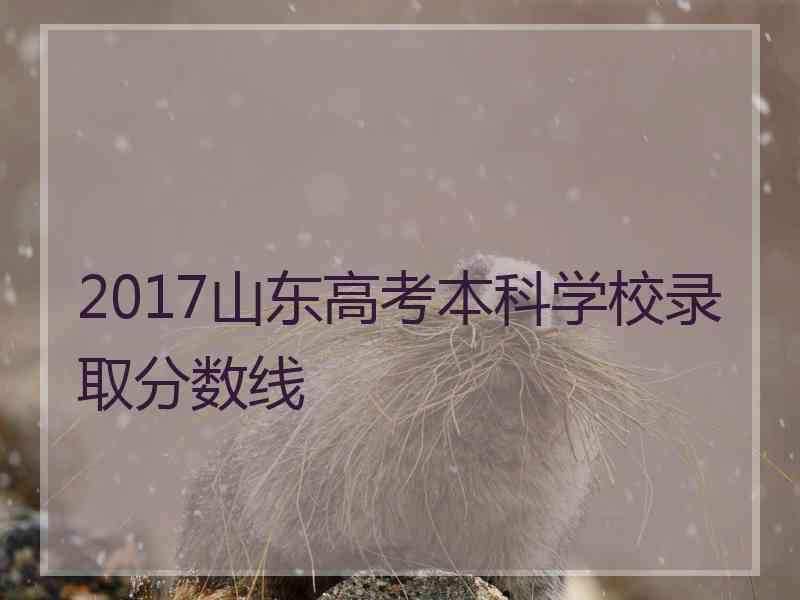 2017山东高考本科学校录取分数线