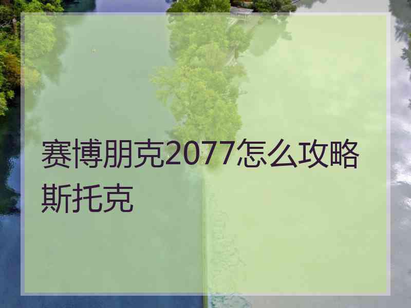 赛博朋克2077怎么攻略斯托克