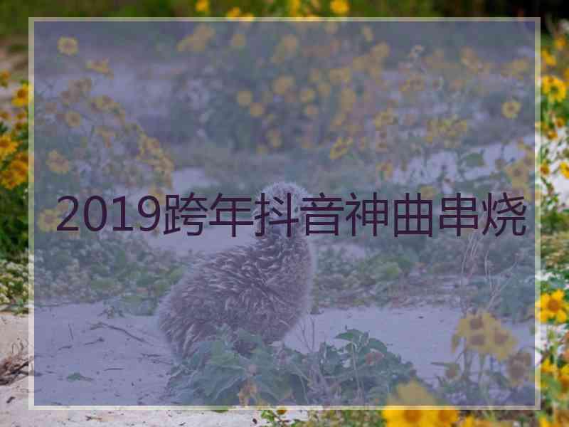 2019跨年抖音神曲串烧