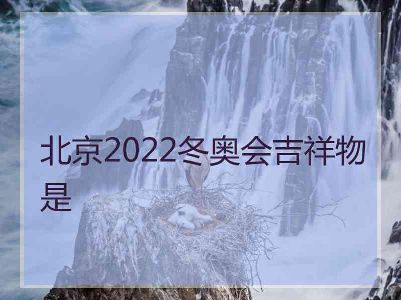 北京2022冬奥会吉祥物是
