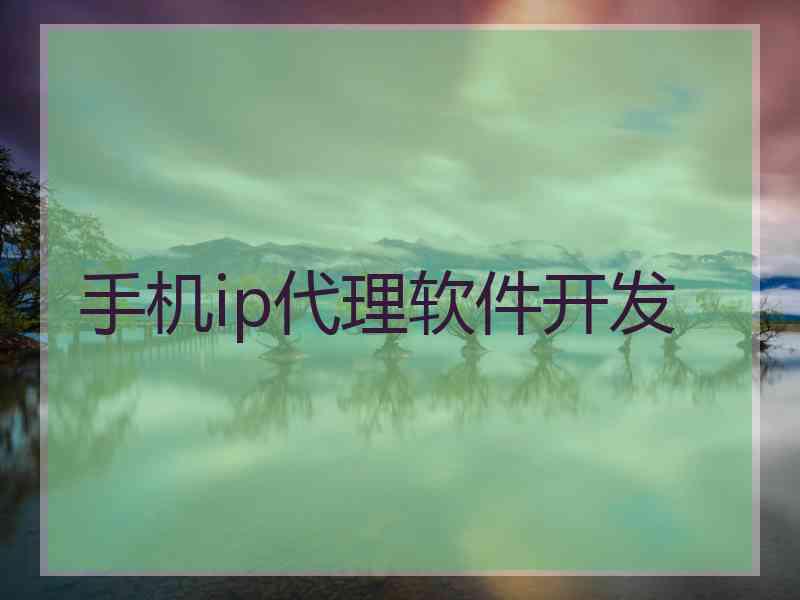 手机ip代理软件开发