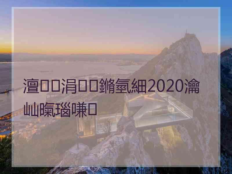 澶涓鏅氫細2020瀹屾暣瑙嗛