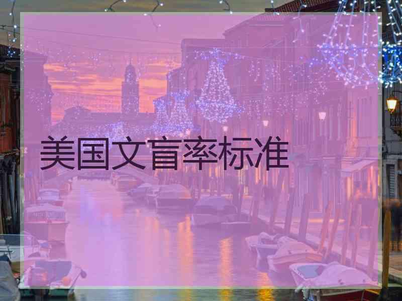 美国文盲率标准