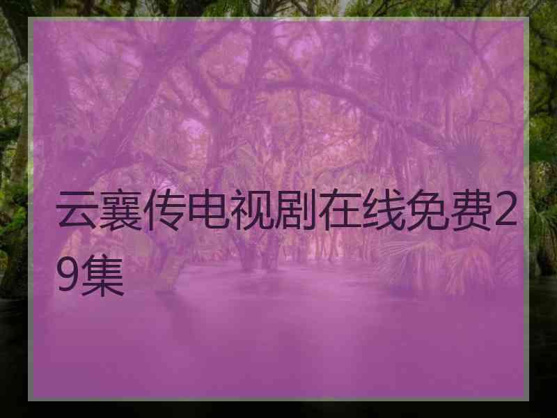 云襄传电视剧在线免费29集