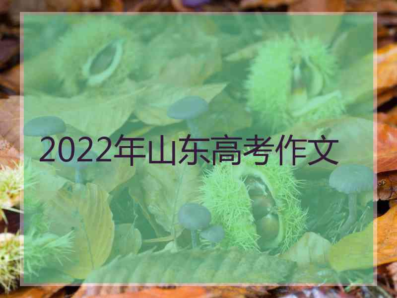 2022年山东高考作文