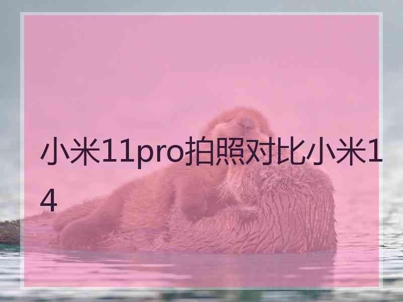 小米11pro拍照对比小米14
