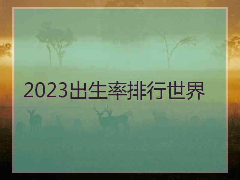 2023出生率排行世界