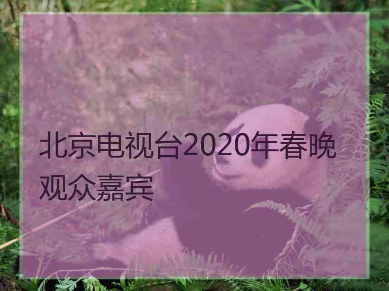 北京电视台2020年春晚观众嘉宾
