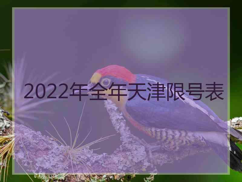 2022年全年天津限号表