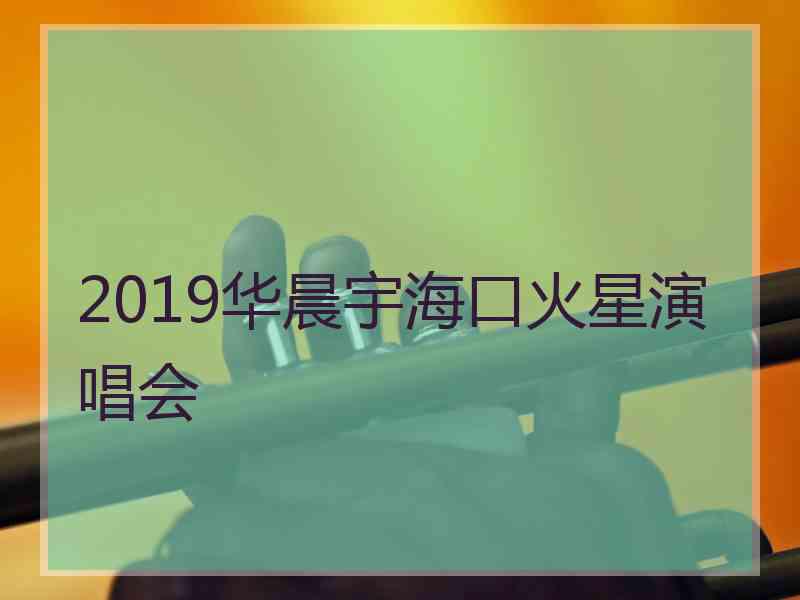 2019华晨宇海口火星演唱会