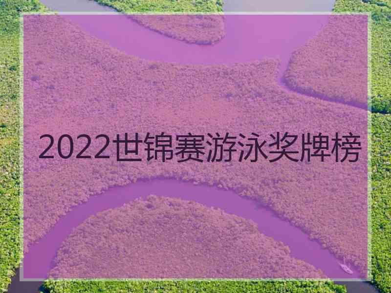2022世锦赛游泳奖牌榜