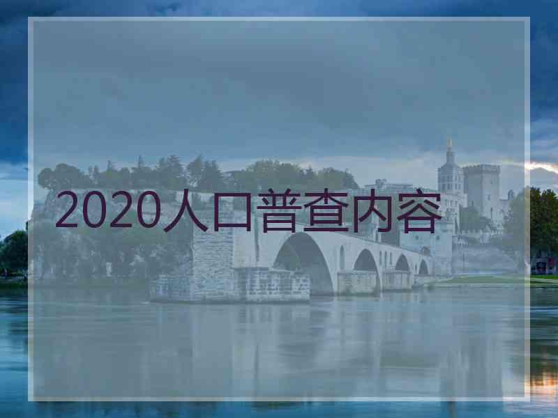 2020人口普查内容