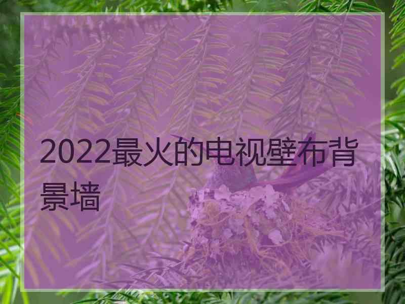 2022最火的电视壁布背景墙