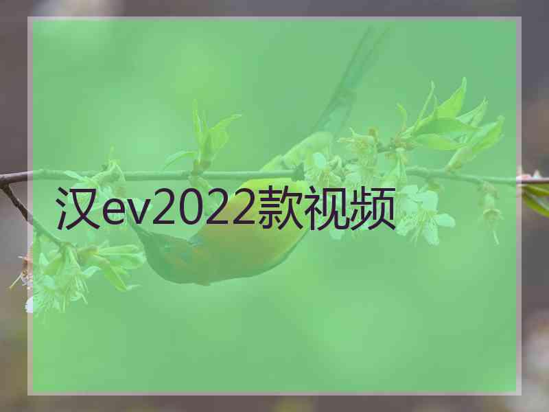 汉ev2022款视频