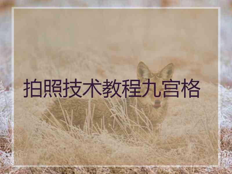 拍照技术教程九宫格