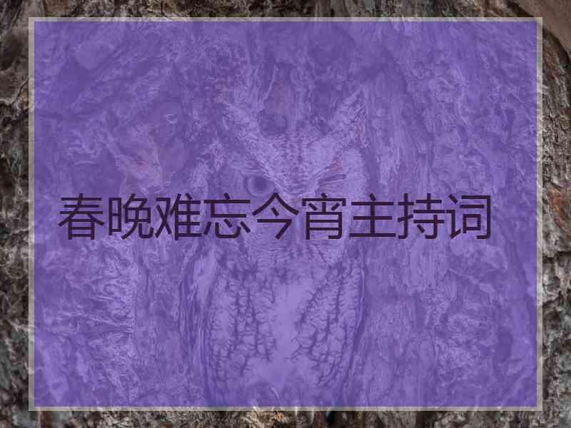 春晚难忘今宵主持词