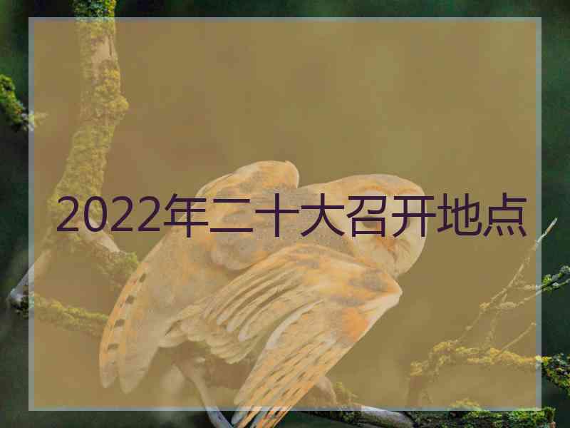 2022年二十大召开地点