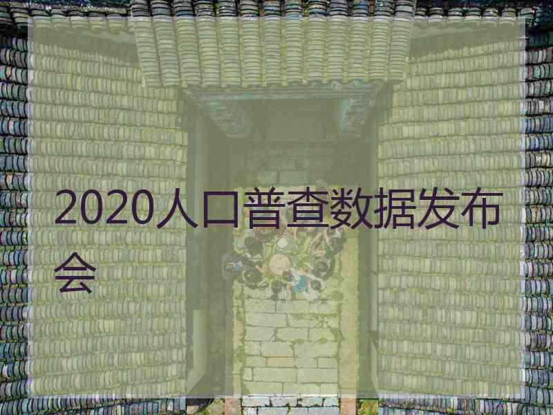 2020人口普查数据发布会