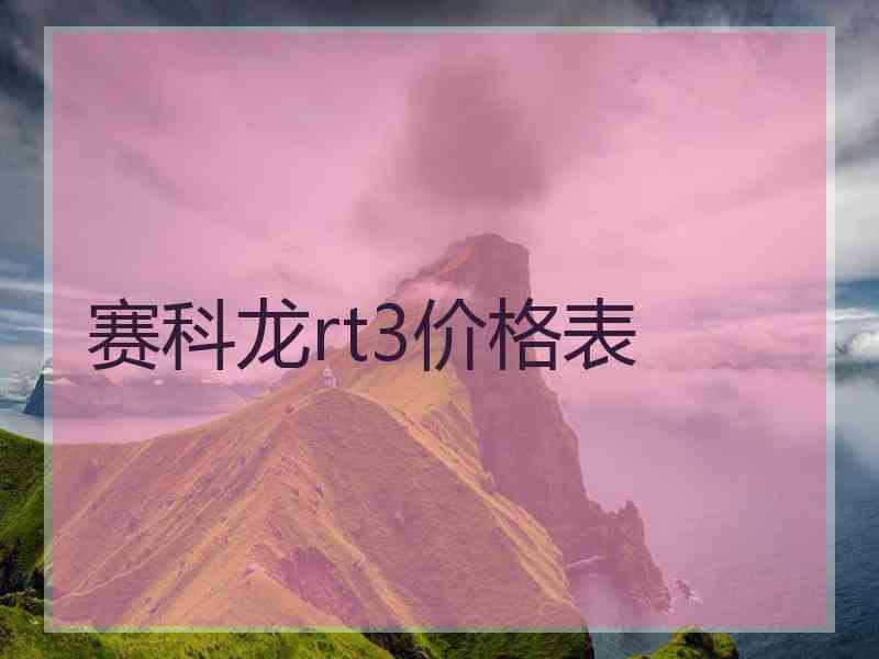 赛科龙rt3价格表