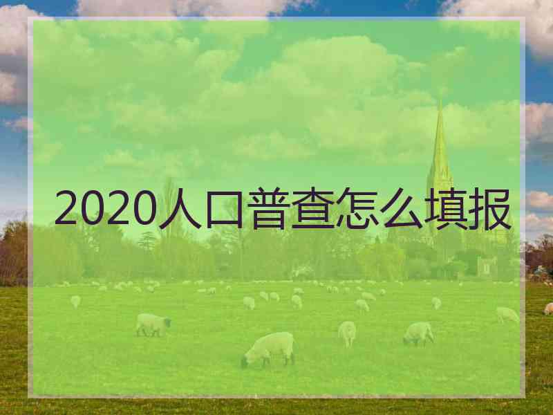 2020人口普查怎么填报