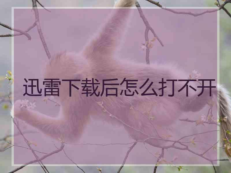 迅雷下载后怎么打不开