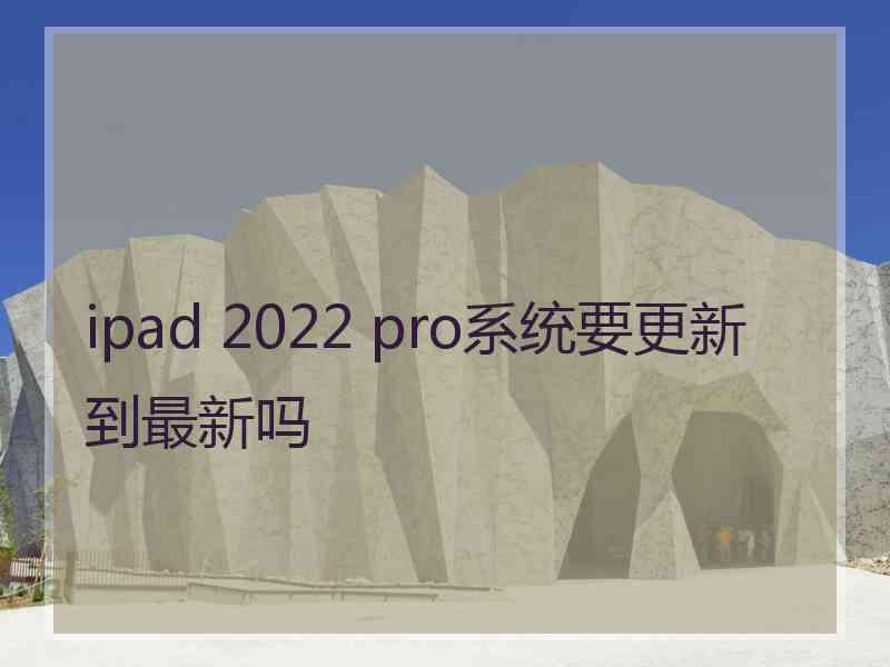 ipad 2022 pro系统要更新到最新吗
