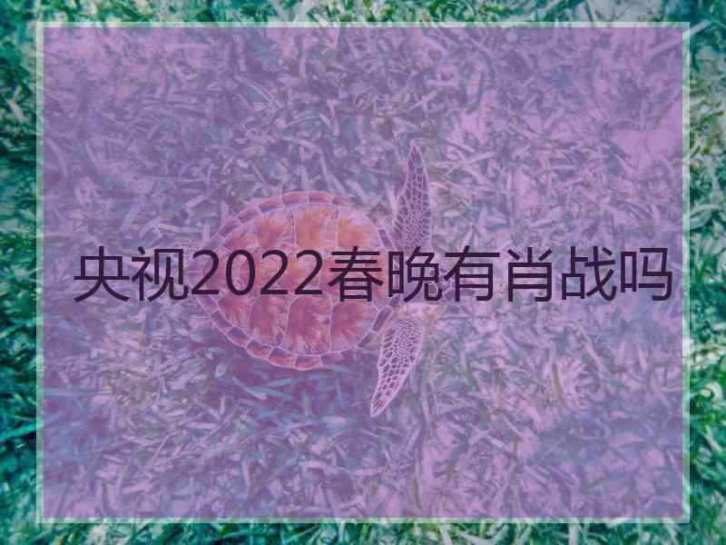 央视2022春晚有肖战吗