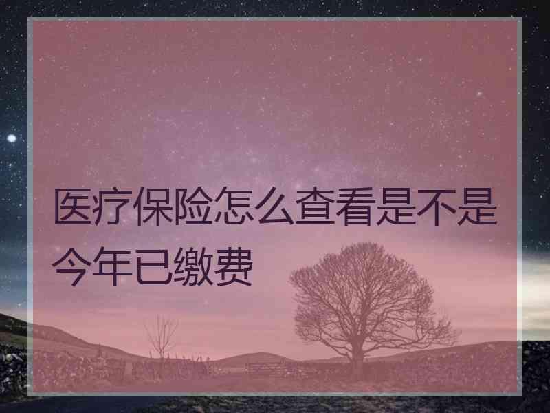 医疗保险怎么查看是不是今年已缴费