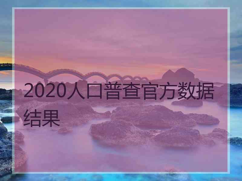 2020人口普查官方数据结果