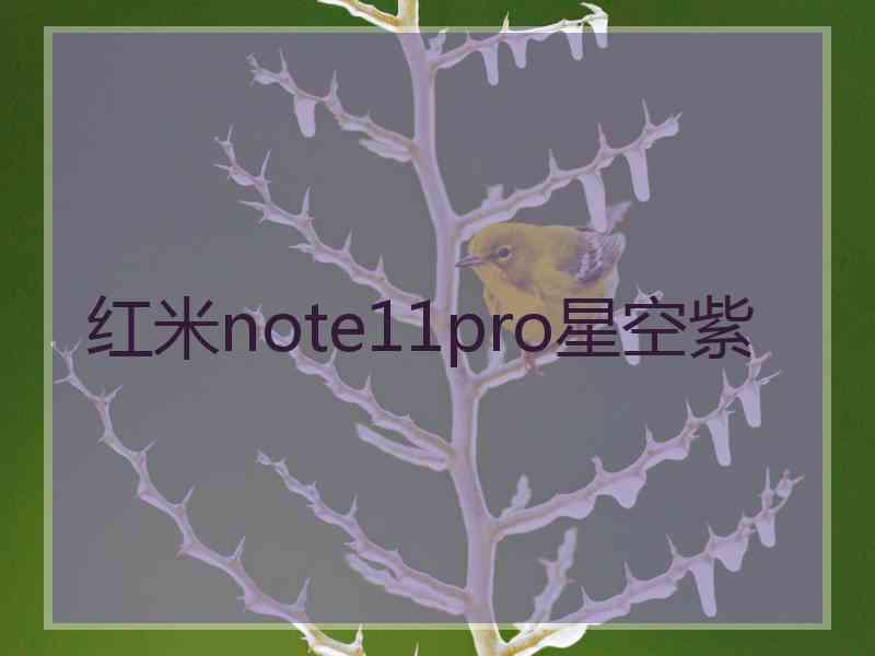 红米note11pro星空紫