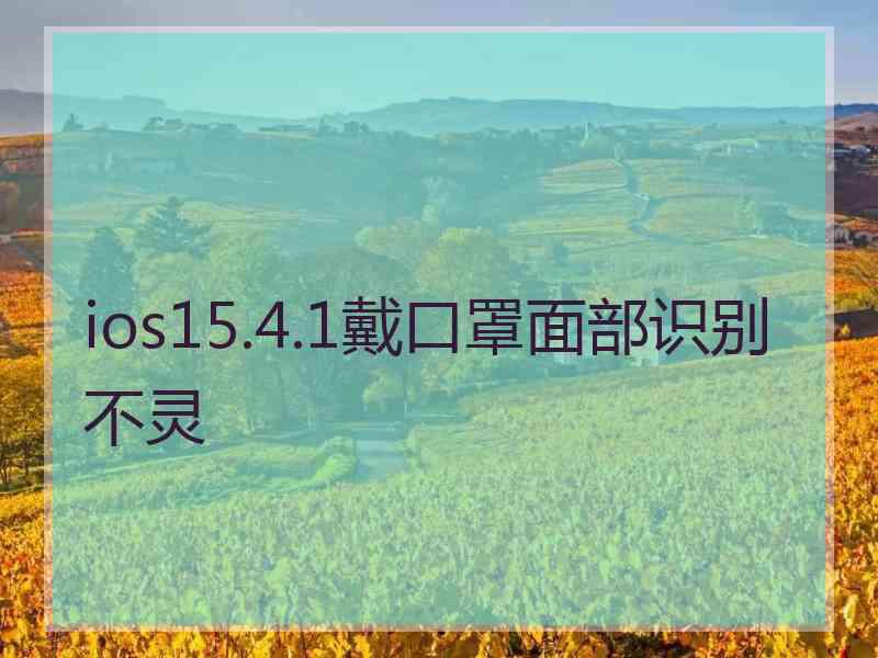 ios15.4.1戴口罩面部识别不灵