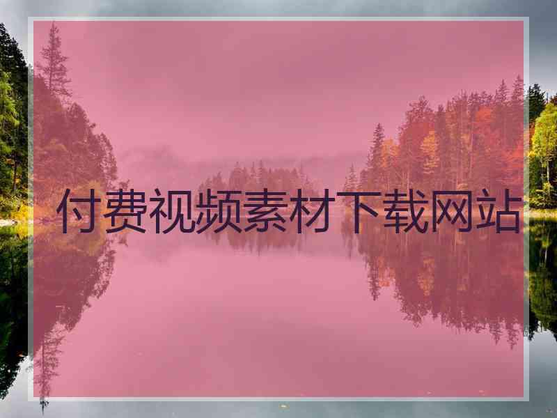 付费视频素材下载网站