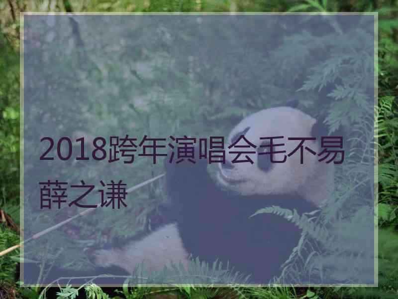 2018跨年演唱会毛不易薛之谦