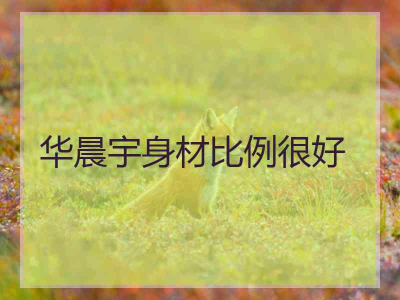 华晨宇身材比例很好