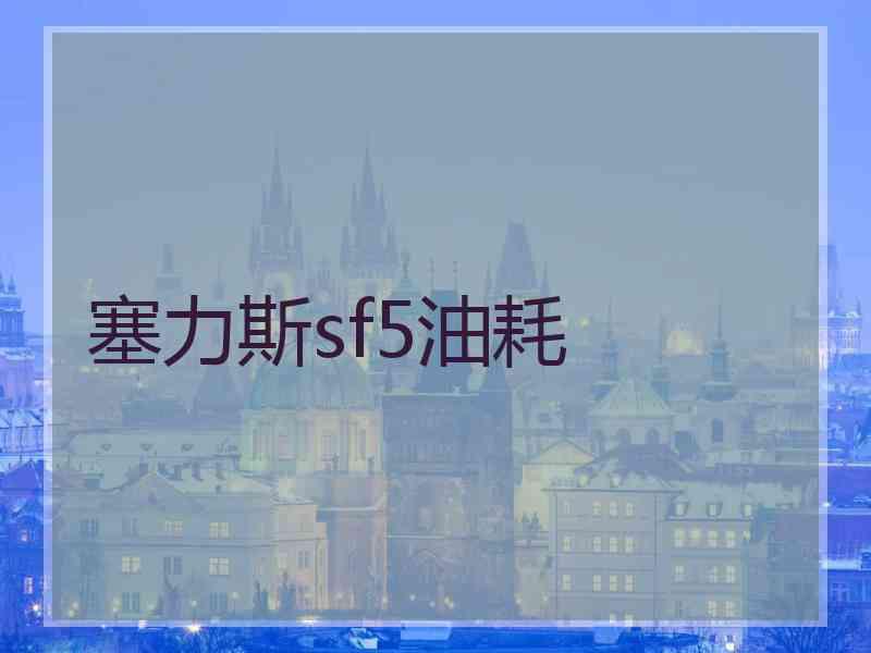 塞力斯sf5油耗