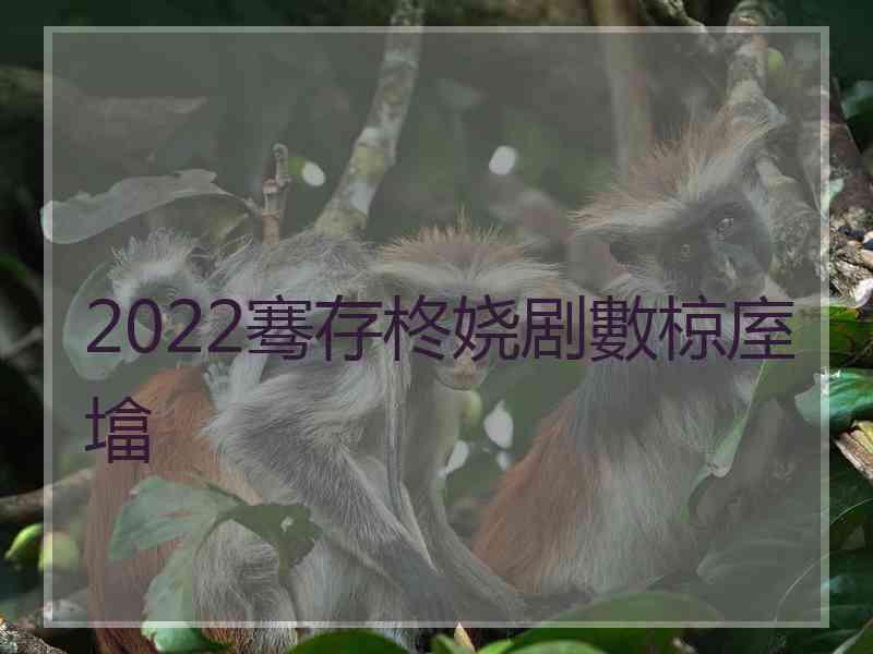 2022骞存柊娆剧數椋庢墖