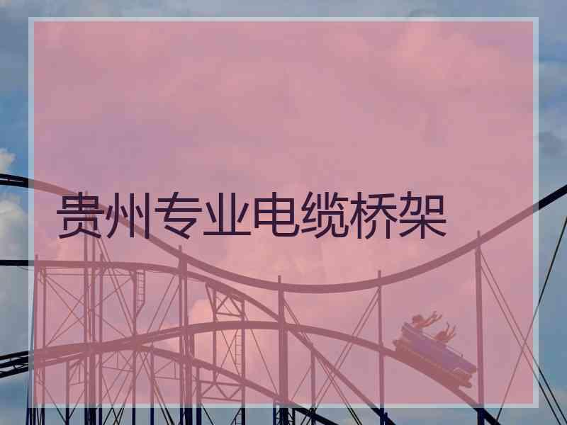 贵州专业电缆桥架