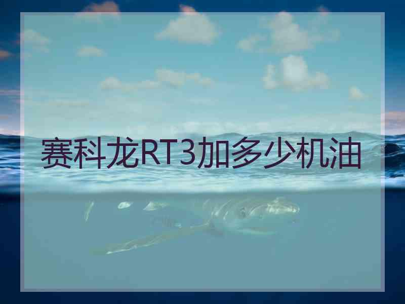 赛科龙RT3加多少机油