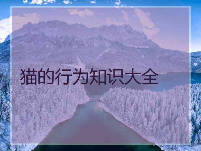 猫的行为知识大全