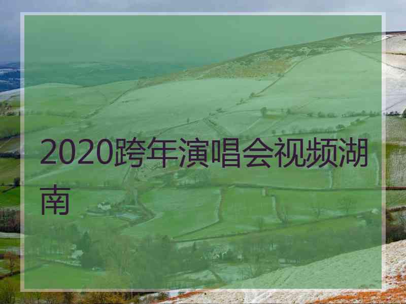 2020跨年演唱会视频湖南