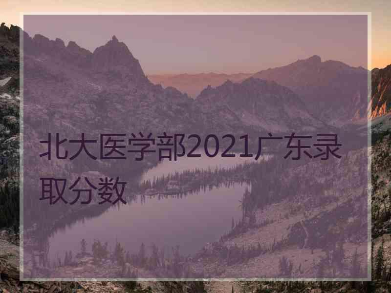 北大医学部2021广东录取分数
