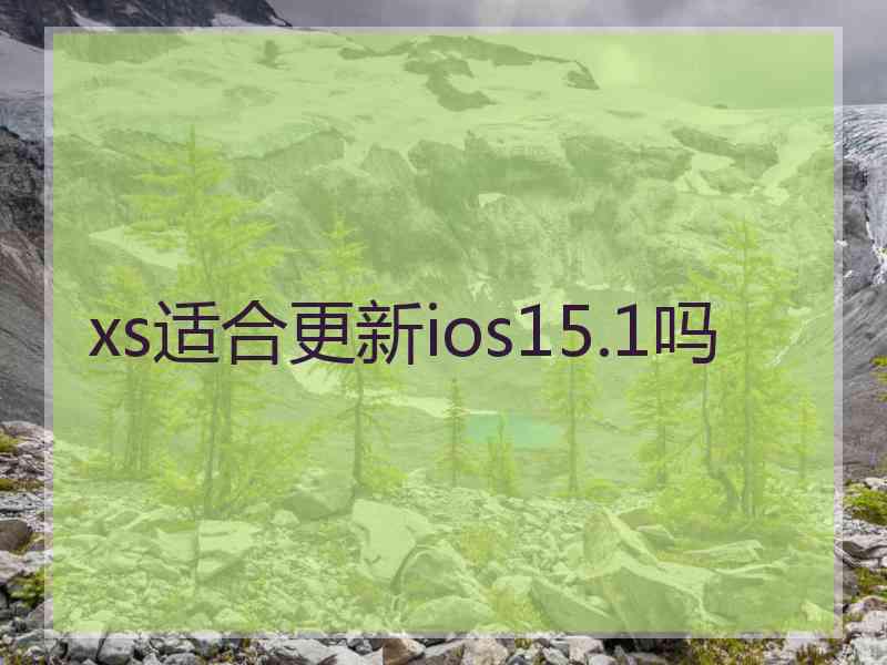 xs适合更新ios15.1吗