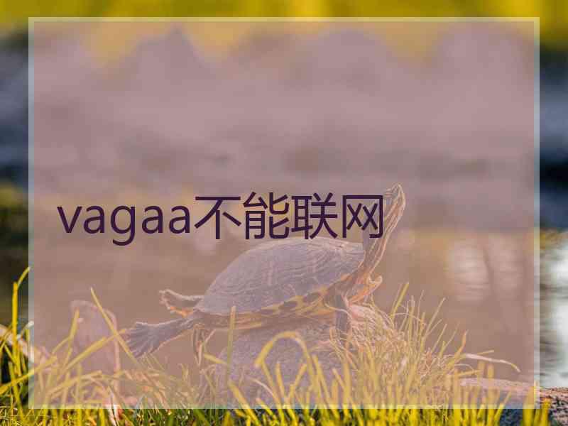 vagaa不能联网