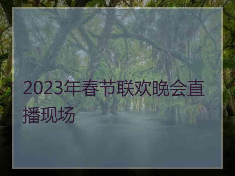 2023年春节联欢晚会直播现场