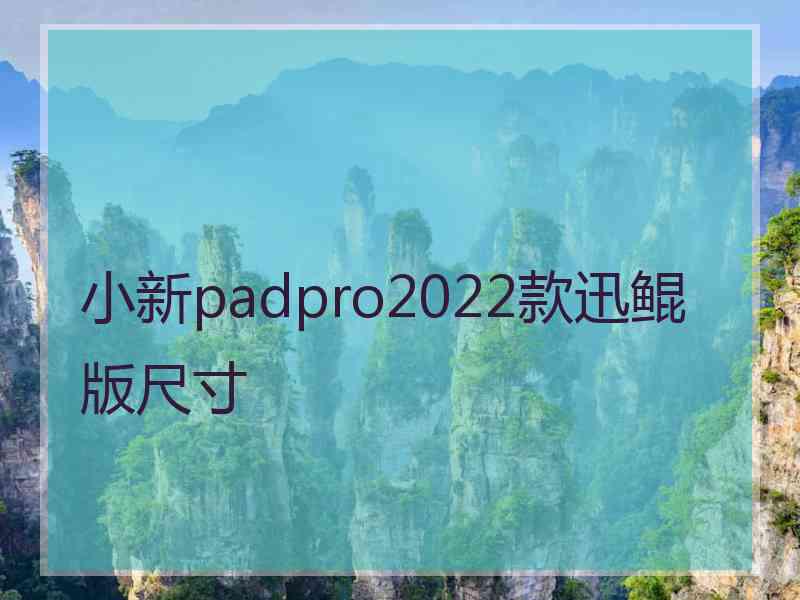 小新padpro2022款迅鲲版尺寸
