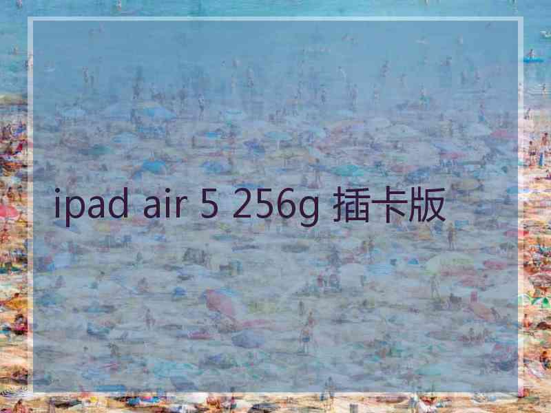 ipad air 5 256g 插卡版