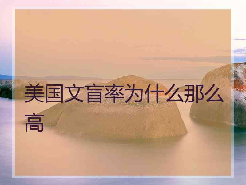 美国文盲率为什么那么高