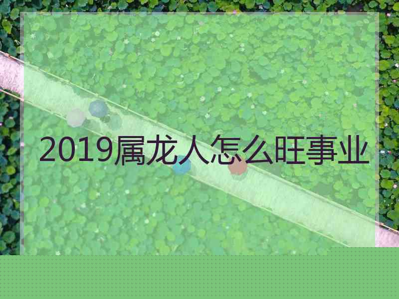 2019属龙人怎么旺事业
