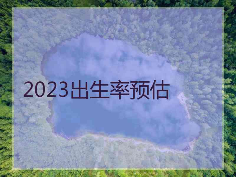 2023出生率预估