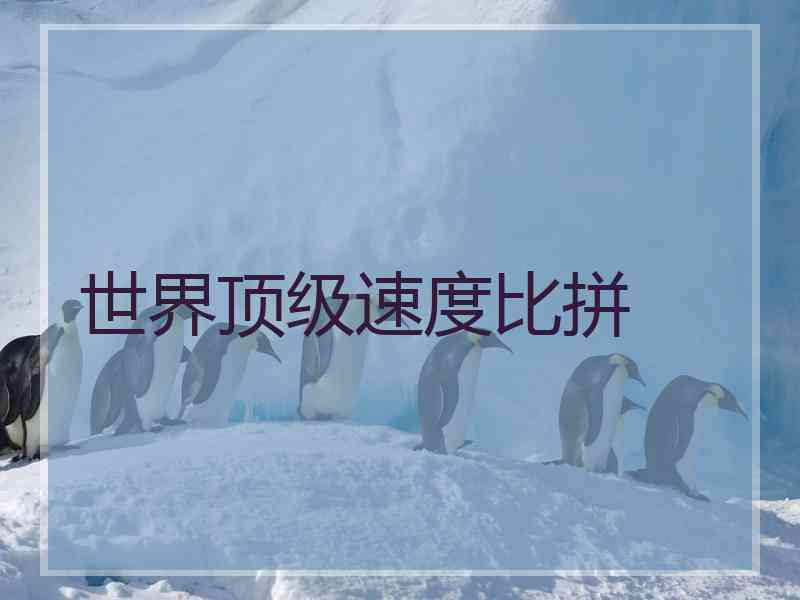 世界顶级速度比拼
